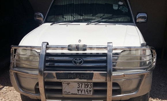 Buy New Toyota Land Cruiser White Car in Hargeysa in Somaliland Buy New Toyota Land Cruiser White Car in Hargeysa in Somaliland