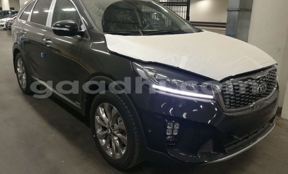 Buy Import Kia Sorento Brown Car in Import - Dubai in Somalia