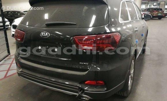 اشتري Imported Kia Sorento بنى سيارة في Import - Dubai في الصومال اشتري Imported Kia Sorento بنى سيارة في Import - Dubai في الصومال