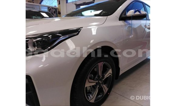 Imported Kia Cerato White Makiinaa iti Import - Dubai keessatti Somalia keessatti Imported Kia Cerato White Makiinaa iti Import - Dubai keessatti Somalia keessatti