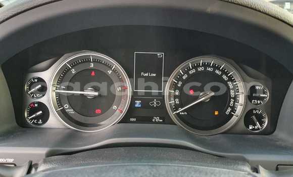 Nunua Mpya Toyota Land Cruiser Nyeusi Gari ndani ya Afgooye nchini Somalia Nunua Mpya Toyota Land Cruiser Nyeusi Gari ndani ya Afgooye nchini Somalia