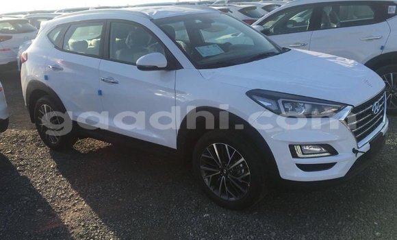Imported Hyundai Tucson White Makiinaa iti Import - Dubai keessatti Somalia keessatti Imported Hyundai Tucson White Makiinaa iti Import - Dubai keessatti Somalia keessatti