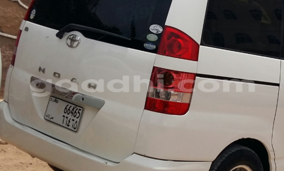 اشتري مستعمل Toyota Noah أبيض سيارة في هرجيسا في أرض الصومال اشتري مستعمل Toyota Noah أبيض سيارة في هرجيسا في أرض الصومال