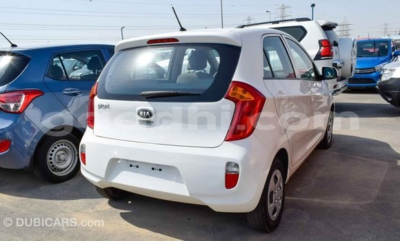 Imported Kia Picanto White Makiinaa iti Import - Dubai keessatti Somalia keessatti Imported Kia Picanto White Makiinaa iti Import - Dubai keessatti Somalia keessatti