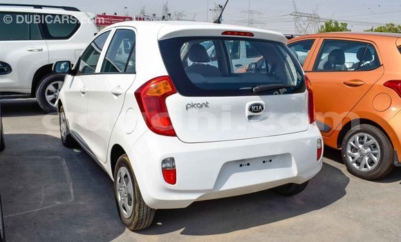 Imported Kia Picanto White Makiinaa iti Import - Dubai keessatti Somalia keessatti Imported Kia Picanto White Makiinaa iti Import - Dubai keessatti Somalia keessatti