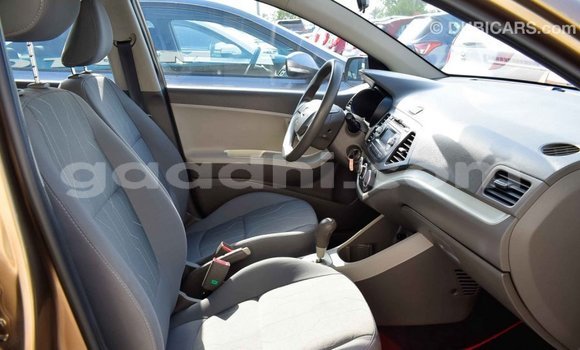 ይግዙ Imported Kia Picanto ብናማ መኪና በ Import - Dubai በ ሶማሊያ ይግዙ Imported Kia Picanto ብናማ መኪና በ Import - Dubai በ ሶማሊያ