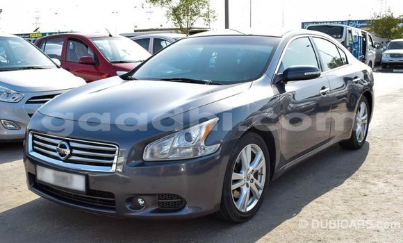Imported Nissan Maxima Other Makiinaa iti Import - Dubai keessatti Somalia keessatti Imported Nissan Maxima Other Makiinaa iti Import - Dubai keessatti Somalia keessatti