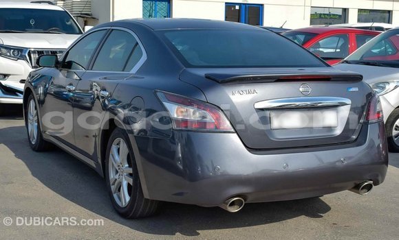 Imported Nissan Maxima Other Makiinaa iti Import - Dubai keessatti Somalia keessatti Imported Nissan Maxima Other Makiinaa iti Import - Dubai keessatti Somalia keessatti