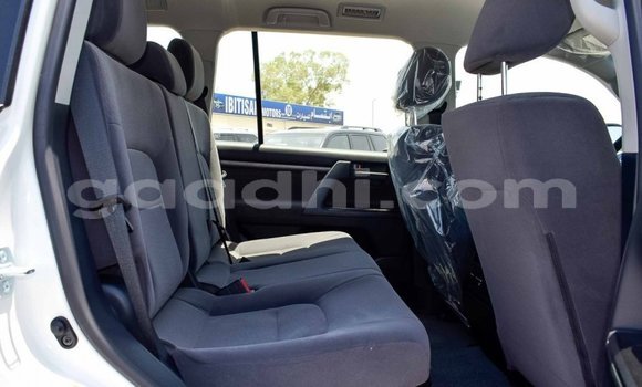 Buy New Toyota Land Cruiser White Car in Afgooye in Somalia Buy New Toyota Land Cruiser White Car in Afgooye in Somalia