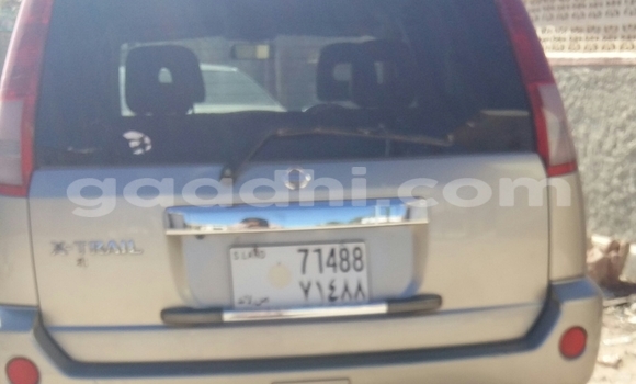 Buy Used Nissan X–Trail Brown Car in Hargeysa in Somaliland Buy Used Nissan X–Trail Brown Car in Hargeysa in Somaliland