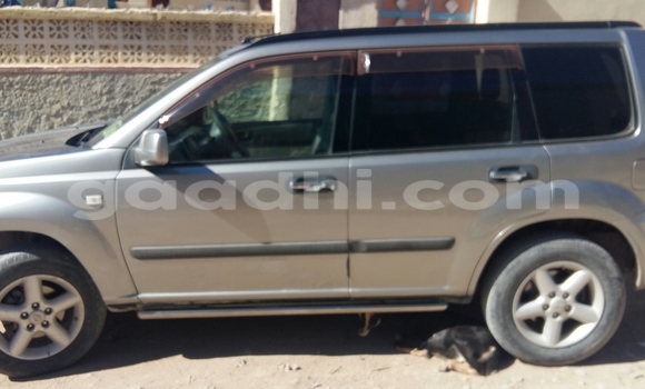 Buy Used Nissan X–Trail Brown Car in Hargeysa in Somaliland Buy Used Nissan X–Trail Brown Car in Hargeysa in Somaliland