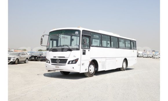 Buy Import Tata Xenon White Car in Import - Dubai in Somalia