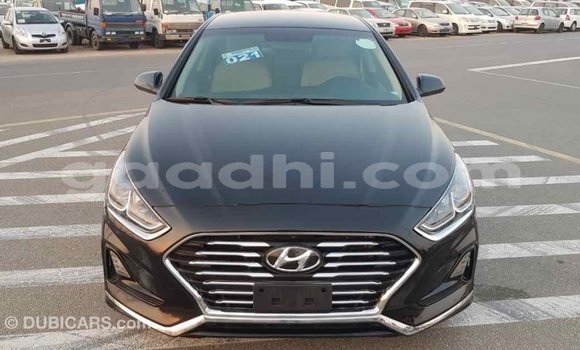 Buy Import Hyundai Sonata Black Car in Import - Dubai in Somalia Buy Import Hyundai Sonata Black Car in Import - Dubai in Somalia
