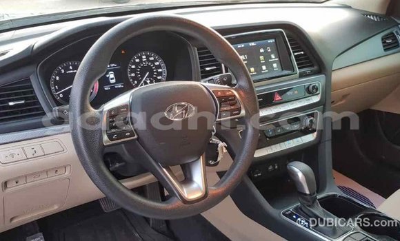 Buy Import Hyundai Sonata Black Car in Import - Dubai in Somalia Buy Import Hyundai Sonata Black Car in Import - Dubai in Somalia