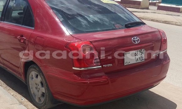 Buy New Toyota Avensis Red Car in Hargeysa in Somaliland Buy New Toyota Avensis Red Car in Hargeysa in Somaliland
