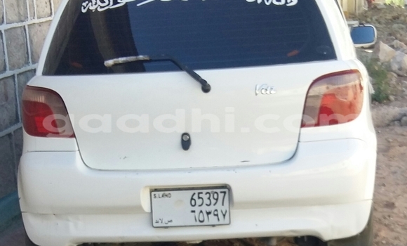 Buy New Toyota Vitz White Car in Hargeysa in Somaliland Buy New Toyota Vitz White Car in Hargeysa in Somaliland