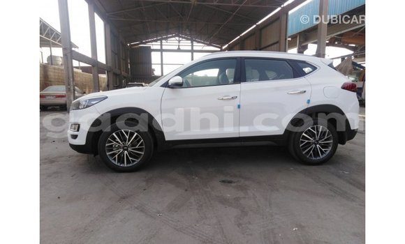 Acheter Import Voiture Hyundai Tucson Blanc à Import - Dubai, Somalie Acheter Import Voiture Hyundai Tucson Blanc à Import - Dubai, Somalie