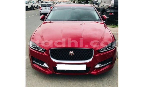 Buy Import Jaguar XE Red Car in Import - Dubai in Somalia