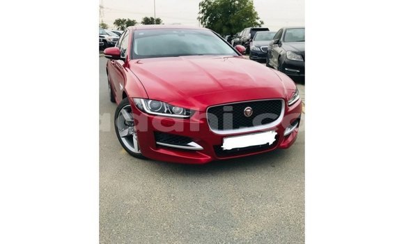 Acheter Import Voiture Jaguar XE Rouge à Import - Dubai, Somalie Acheter Import Voiture Jaguar XE Rouge à Import - Dubai, Somalie