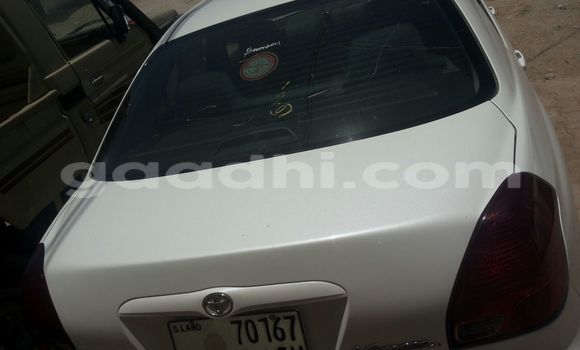 ይግዙ ያገለገለ Toyota Verso ነጭ መኪና በ ሞቃዲሾ በ ሶማሊያ ይግዙ ያገለገለ Toyota Verso ነጭ መኪና በ ሞቃዲሾ በ ሶማሊያ