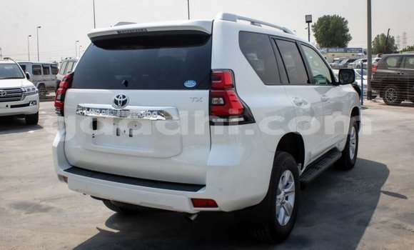 Nunua Mpya Toyota Prado Nyeupe Gari ndani ya Afgooye nchini Somalia Nunua Mpya Toyota Prado Nyeupe Gari ndani ya Afgooye nchini Somalia