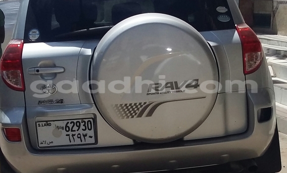 Buy New Toyota RAV4 Silver Car in Hargeysa in Somaliland Buy New Toyota RAV4 Silver Car in Hargeysa in Somaliland