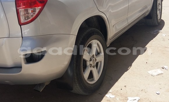 Buy New Toyota RAV4 Silver Car in Hargeysa in Somaliland Buy New Toyota RAV4 Silver Car in Hargeysa in Somaliland