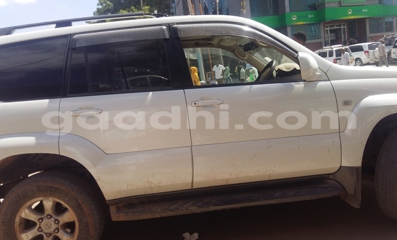 Buy Used Toyota Land Cruiser White Car in Hargeysa in Somaliland Buy Used Toyota Land Cruiser White Car in Hargeysa in Somaliland