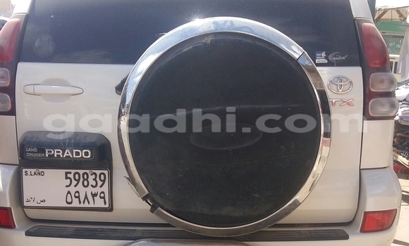 Buy Used Toyota Land Cruiser White Car in Hargeysa in Somaliland Buy Used Toyota Land Cruiser White Car in Hargeysa in Somaliland