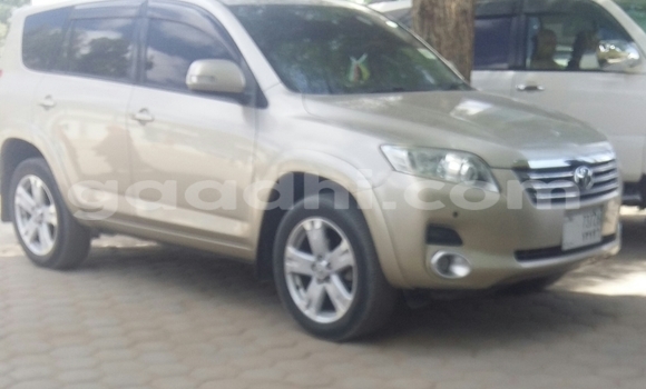 Buy Used Toyota Venza Beige Car in Hargeysa in Somaliland Buy Used Toyota Venza Beige Car in Hargeysa in Somaliland