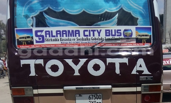Buy Used Toyota Coaster Brown Car in Hargeysa in Somaliland Buy Used Toyota Coaster Brown Car in Hargeysa in Somaliland