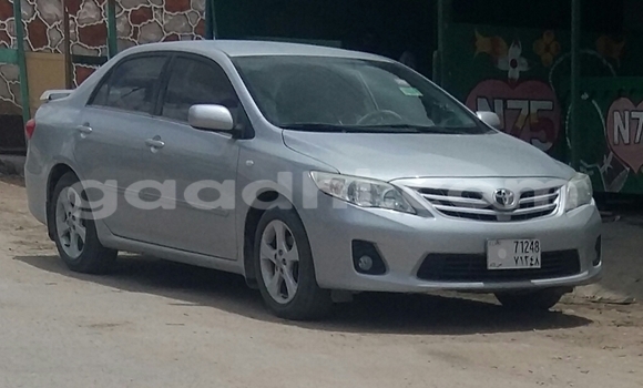 Buy Used Toyota Corolla Silver Car in Hargeysa in Somaliland Buy Used Toyota Corolla Silver Car in Hargeysa in Somaliland