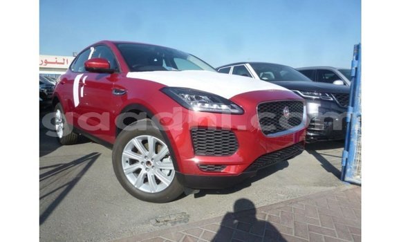 Buy Import Jaguar E-Pace Red Car in Import - Dubai in Somalia