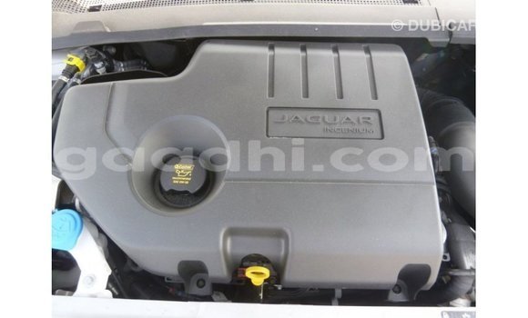 Acheter Import Voiture Jaguar E-Pace Blanc à Import - Dubai, Somalie Acheter Import Voiture Jaguar E-Pace Blanc à Import - Dubai, Somalie