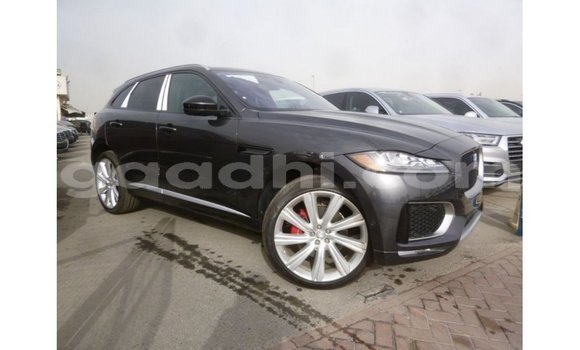 Buy Import Jaguar F-Type Black Car in Import - Dubai in Somalia