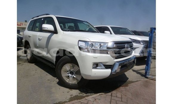 Acheter Import Voiture Toyota Land Cruiser Blanc à Import - Dubai, Somalie Acheter Import Voiture Toyota Land Cruiser Blanc à Import - Dubai, Somalie
