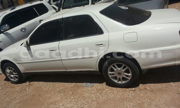 ይግዙ ያገለገለ Toyota 4Runner ነጭ መኪና በ ሞቃዲሾ በ ሶማሊያ ይግዙ ያገለገለ Toyota 4Runner ነጭ መኪና በ ሞቃዲሾ በ ሶማሊያ