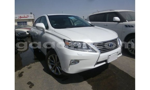Acheter Import Voiture Lexus RX Blanc à Import - Dubai, Somalie Acheter Import Voiture Lexus RX Blanc à Import - Dubai, Somalie