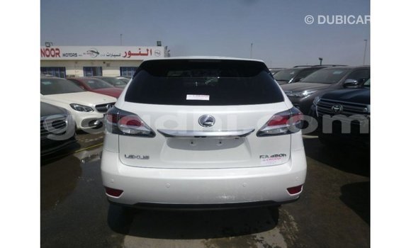 Acheter Import Voiture Lexus RX Blanc à Import - Dubai, Somalie Acheter Import Voiture Lexus RX Blanc à Import - Dubai, Somalie