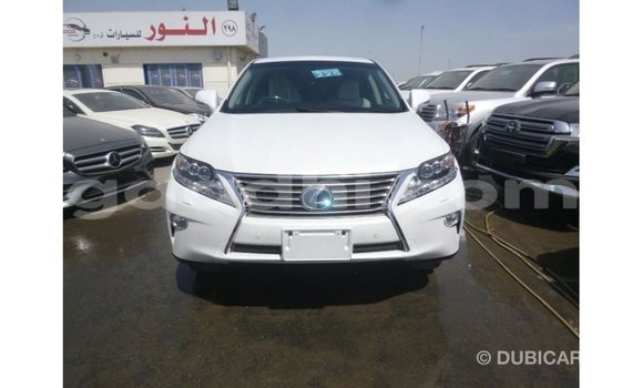 Acheter Import Voiture Lexus RX Blanc à Import - Dubai, Somalie Acheter Import Voiture Lexus RX Blanc à Import - Dubai, Somalie