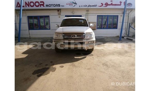 Acheter Import Voiture Toyota Land Cruiser Blanc à Import - Dubai, Somalie Acheter Import Voiture Toyota Land Cruiser Blanc à Import - Dubai, Somalie