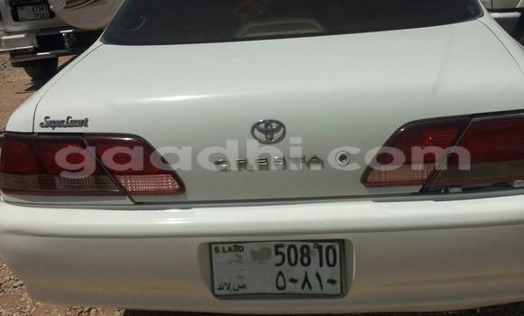 ይግዙ ያገለገለ Toyota 4Runner ነጭ መኪና በ ሞቃዲሾ በ ሶማሊያ ይግዙ ያገለገለ Toyota 4Runner ነጭ መኪና በ ሞቃዲሾ በ ሶማሊያ