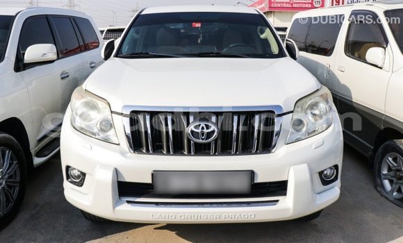 Acheter Import Voiture Toyota Prado Blanc à Import - Dubai, Somalie Acheter Import Voiture Toyota Prado Blanc à Import - Dubai, Somalie