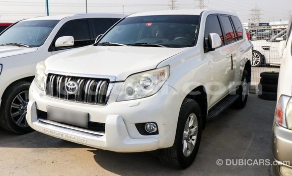 Acheter Import Voiture Toyota Prado Blanc à Import - Dubai, Somalie Acheter Import Voiture Toyota Prado Blanc à Import - Dubai, Somalie