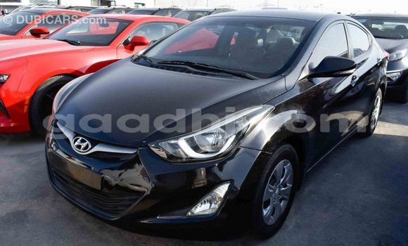 اشتري Imported Hyundai Elantra أسود سيارة في Import - Dubai في الصومال اشتري Imported Hyundai Elantra أسود سيارة في Import - Dubai في الصومال