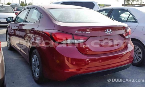 Imported Hyundai Elantra Red Makiinaa iti Import - Dubai keessatti Somalia keessatti Imported Hyundai Elantra Red Makiinaa iti Import - Dubai keessatti Somalia keessatti