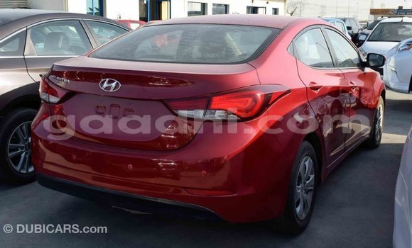 Imported Hyundai Elantra Red Makiinaa iti Import - Dubai keessatti Somalia keessatti Imported Hyundai Elantra Red Makiinaa iti Import - Dubai keessatti Somalia keessatti