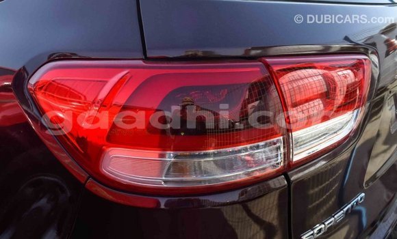Imported Kia Sorento Brown Makiinaa iti Import - Dubai keessatti Somalia keessatti Imported Kia Sorento Brown Makiinaa iti Import - Dubai keessatti Somalia keessatti
