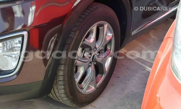 Imported Kia Sorento Brown Makiinaa iti Import - Dubai keessatti Somalia keessatti Imported Kia Sorento Brown Makiinaa iti Import - Dubai keessatti Somalia keessatti