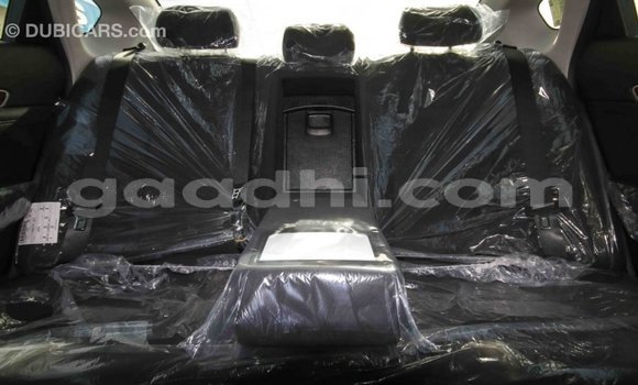 Imported Kia Cadenza Other Makiinaa iti Import - Dubai keessatti Somalia keessatti Imported Kia Cadenza Other Makiinaa iti Import - Dubai keessatti Somalia keessatti